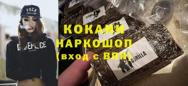 стаф Алзамай