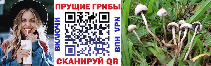 Псилоцибиновые грибы мухоморы  Усть-Джегута 
