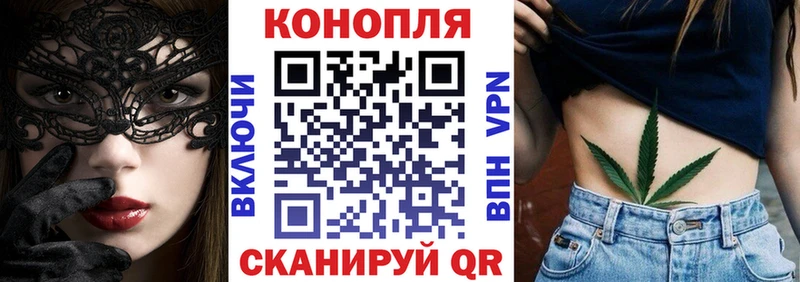 блэк спрут   Усть-Джегута  Конопля OG Kush  купить наркоту 
